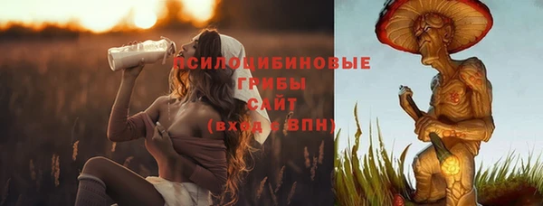 mdpv Володарск