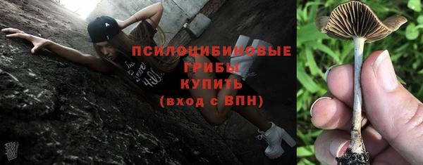 mdpv Володарск